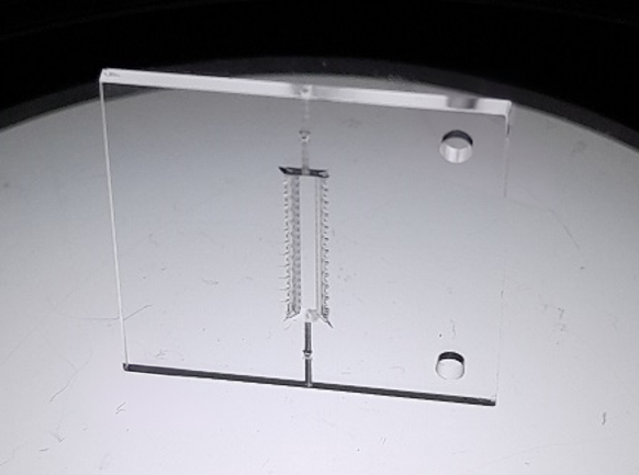 Ross's trap microfabricated structure