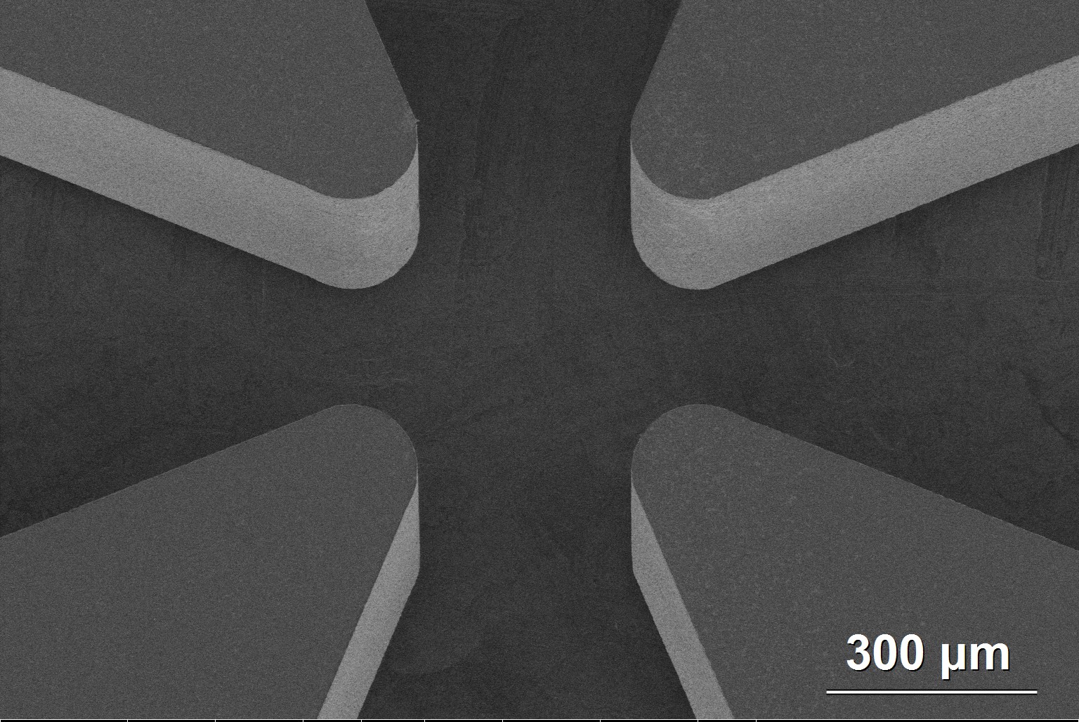Wheel trap SEM detail